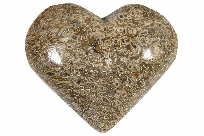 Polished Dinosaur Bone (Gembone) Heart - Morocco #189799